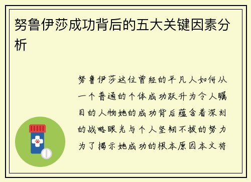努鲁伊莎成功背后的五大关键因素分析