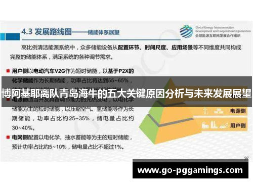 博阿基耶离队青岛海牛的五大关键原因分析与未来发展展望