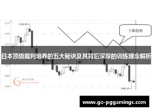 日本顶级裁判培养的五大秘诀及其背后深厚的训练理念解析