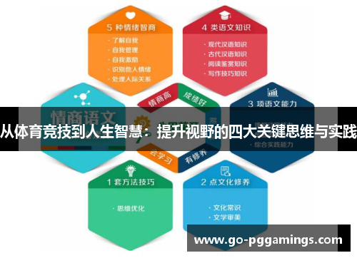 从体育竞技到人生智慧：提升视野的四大关键思维与实践