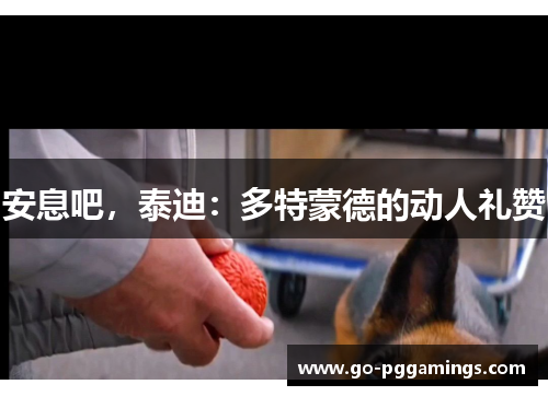 安息吧，泰迪：多特蒙德的动人礼赞