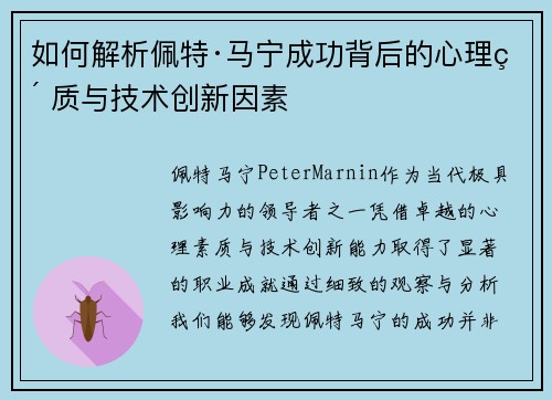 如何解析佩特·马宁成功背后的心理素质与技术创新因素