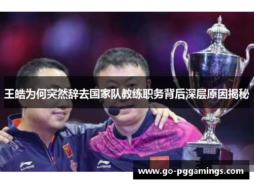 王皓为何突然辞去国家队教练职务背后深层原因揭秘