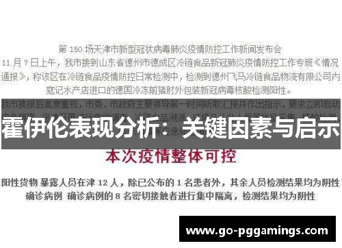 霍伊伦表现分析：关键因素与启示