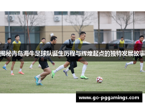 揭秘青岛海牛足球队诞生历程与辉煌起点的独特发展故事
