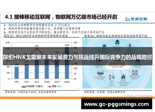 探索HNK戈里察未来发展潜力与挑战提升国际竞争力的战略路径